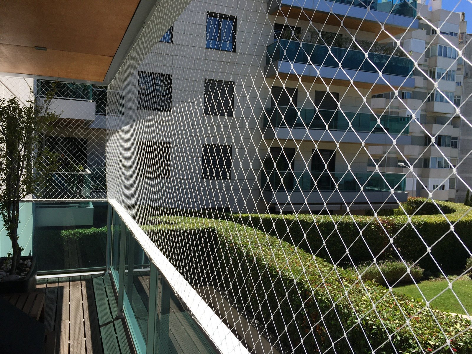 Redes de proteção para gatos